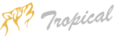 Tropical Group